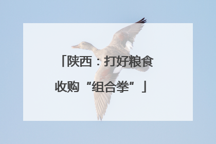 陕西：打好粮食收购“组合拳”