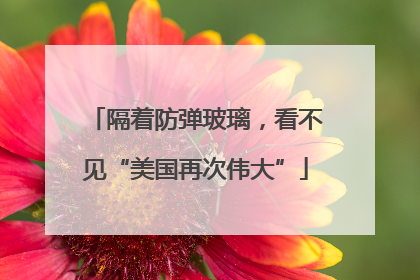 隔着防弹玻璃，看不见“美国再次伟大”