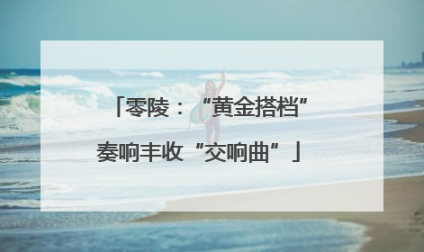 零陵：“黄金搭档”奏响丰收“交响曲”