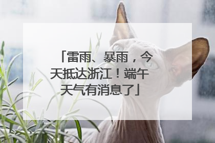 雷雨、暴雨，今天抵达浙江！端午天气有消息了