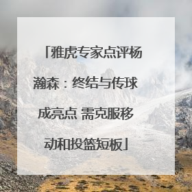 雅虎专家点评杨瀚森：终结与传球成亮点 需克服移动和投篮短板