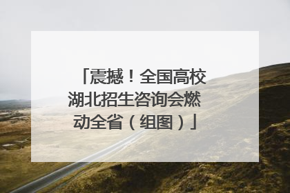 震撼！全国高校湖北招生咨询会燃动全省（组图）