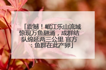 震撼！岷江乐山流域惊现万鱼翻涌，成群结队绵延两三公里 官方：鱼群在此产卵