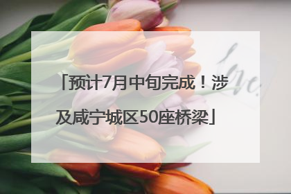 预计7月中旬完成！涉及咸宁城区50座桥梁