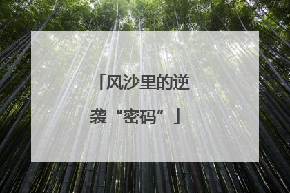 风沙里的逆袭“密码”