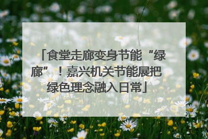 食堂走廊变身节能“绿廊”！嘉兴机关节能展把绿色理念融入日常