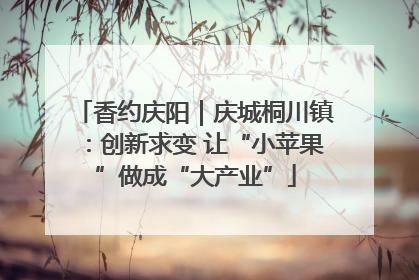 香约庆阳｜庆城桐川镇：创新求变 让“小苹果”做成“大产业”