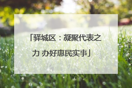 驿城区：凝聚代表之力 办好惠民实事