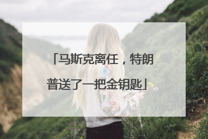 马斯克离任，特朗普送了一把金钥匙