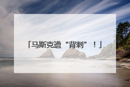 马斯克遭“背刺”！