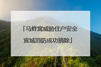 马蜂窝威胁住户安全 宣城消防成功摘除