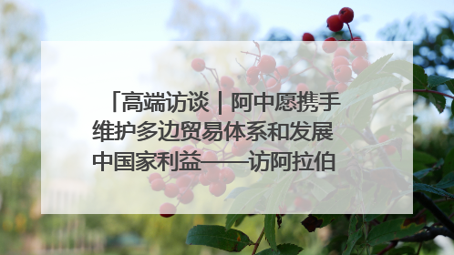 高端访谈｜阿中愿携手维护多边贸易体系和发展中国家利益——访阿拉伯议会议长亚马希