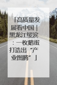 高质量发展看中国｜黑龙江绥滨：一枚鹅蛋打造出“产业图腾”