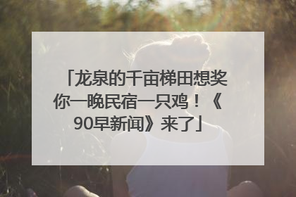龙泉的千亩梯田想奖你一晚民宿一只鸡！《90早新闻》来了