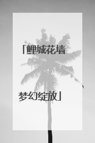 鲤城花墙 梦幻绽放