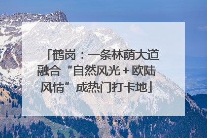 鹤岗：一条林荫大道融合“自然风光＋欧陆风情”成热门打卡地
