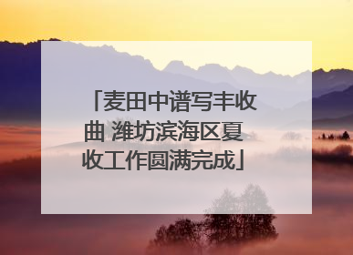 麦田中谱写丰收曲 潍坊滨海区夏收工作圆满完成