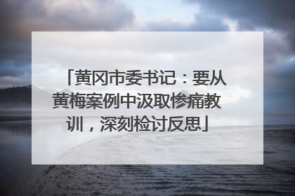 黄冈市委书记：要从黄梅案例中汲取惨痛教训，深刻检讨反思