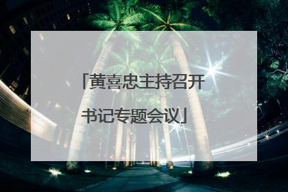 黄喜忠主持召开书记专题会议