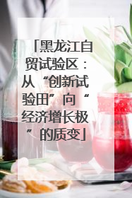 黑龙江自贸试验区：从“创新试验田”向“经济增长极”的质变