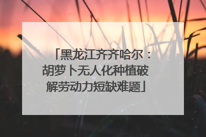 黑龙江齐齐哈尔：胡萝卜无人化种植破解劳动力短缺难题
