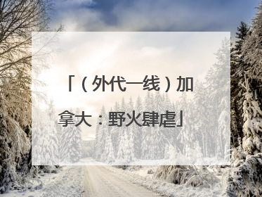 （外代一线）加拿大：野火肆虐