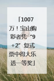1007万！宝山购彩者凭“9+2”复式票中得大乐透一等奖