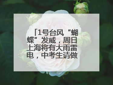 1号台风“蝴蝶”发威，周日上海将有大雨雷电，中考生请做好防范准备