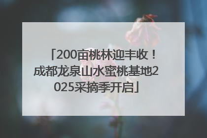 200亩桃林迎丰收！成都龙泉山水蜜桃基地2025采摘季开启