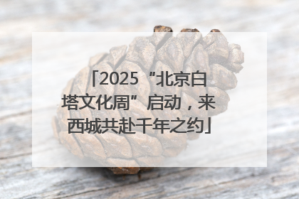 2025“北京白塔文化周”启动，来西城共赴千年之约