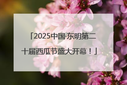 2025中国·东明第二十届西瓜节盛大开幕！