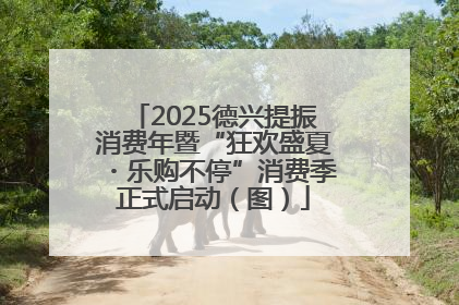 2025德兴提振消费年暨“狂欢盛夏・乐购不停”消费季正式启动（图）