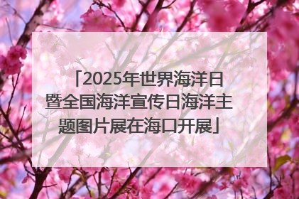 2025年世界海洋日暨全国海洋宣传日海洋主题图片展在海口开展