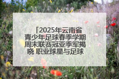 2025年云南省青少年足球春季学期周末联赛冠亚季军揭晓 职业球星与足球小将共享荣耀时刻