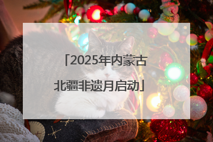 2025年内蒙古北疆非遗月启动