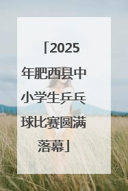 2025年肥西县中小学生乒乓球比赛圆满落幕