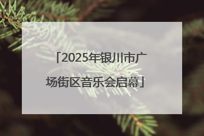 2025年银川市广场街区音乐会启幕