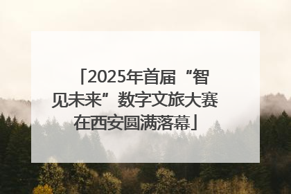 2025年首届“智见未来”数字文旅大赛在西安圆满落幕