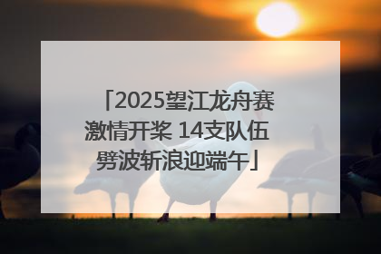 2025望江龙舟赛激情开桨 14支队伍劈波斩浪迎端午