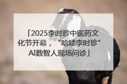 2025李时珍中医药文化节开幕，“哈喽李时珍”AI数智人现场问诊