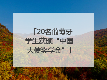 20名葡萄牙学生获颁“中国大使奖学金”