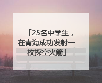 25名中学生，在青海成功发射一枚探空火箭