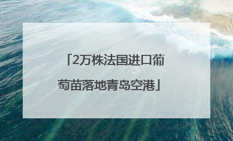 2万株法国进口葡萄苗落地青岛空港