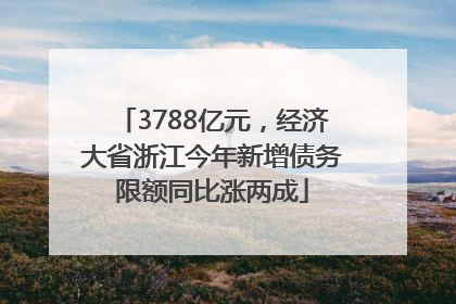 3788亿元，经济大省浙江今年新增债务限额同比涨两成