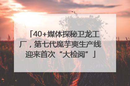 40+媒体探秘卫龙工厂，第七代魔芋爽生产线迎来首次“大检阅”