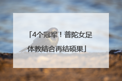 4个冠军！普陀女足体教结合再结硕果
