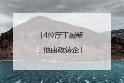 4位厅干履新，他由政转企
