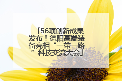 56项创新成果发布！德阳高端装备亮相“一带一路”科技交流大会