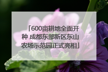 600亩耕地全面开种 成都东部新区东山农场示范园正式亮相