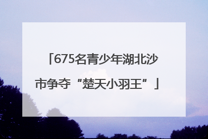 675名青少年湖北沙市争夺“楚天小羽王”